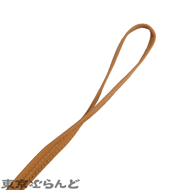 ロデオチャーム ペガサス PM - 6