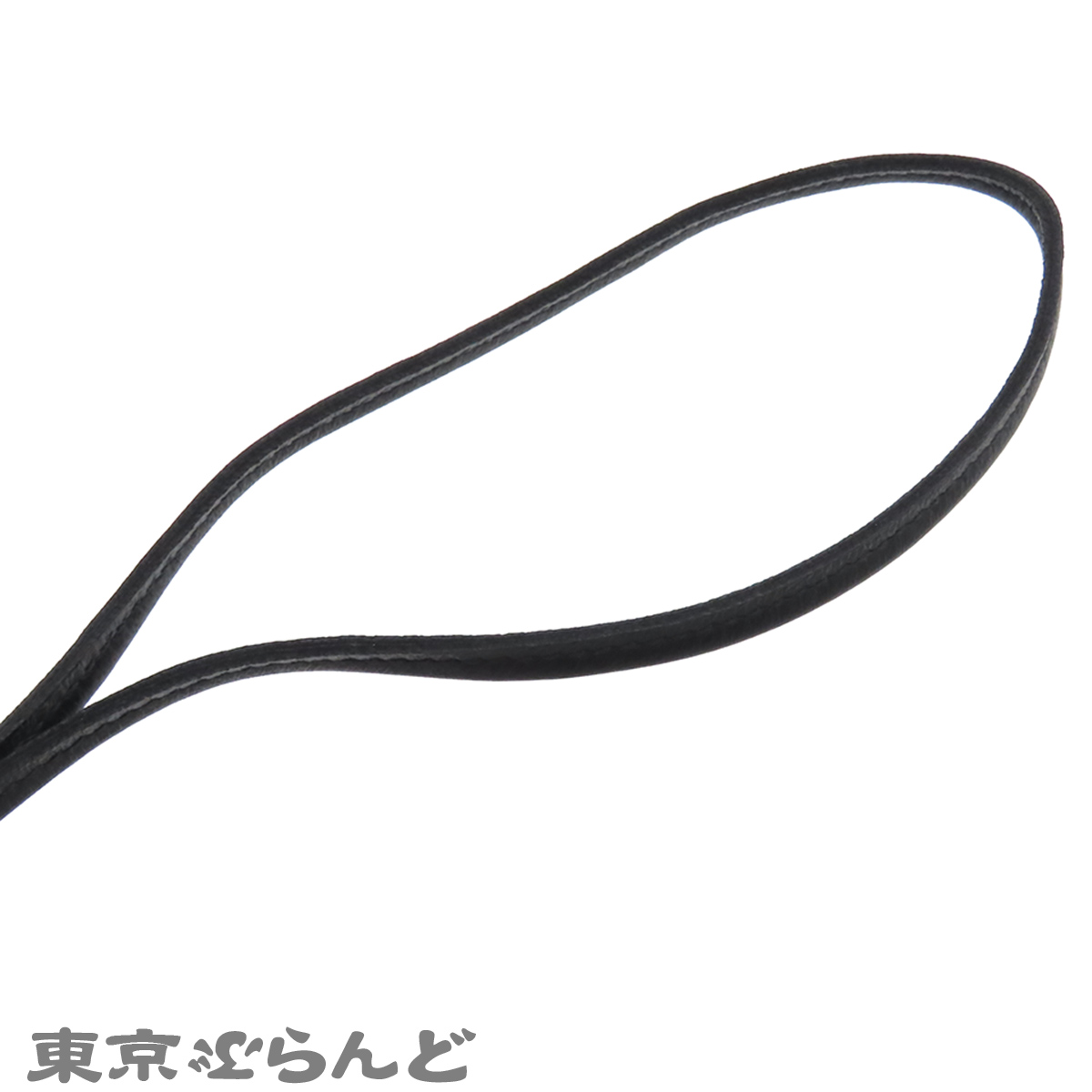 Rodeo Pegasus PM - 4