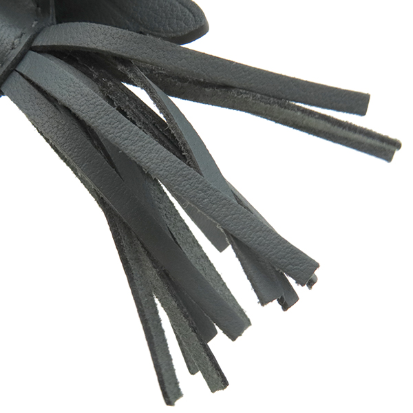 ロデオPM ペガサス - 5