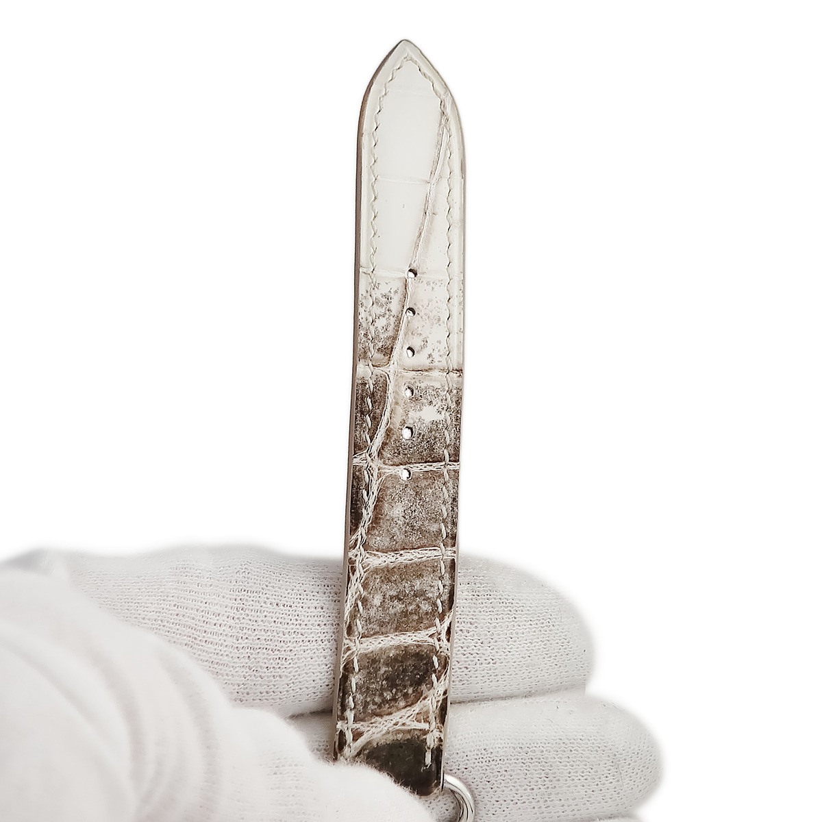 クリクティ スモール ヒマラヤ - 7