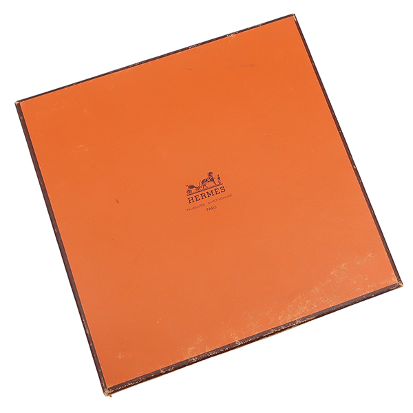 シャス ワイヤーフォックステリア 八角 - 6