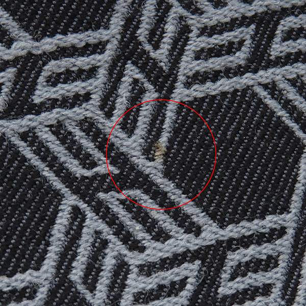 ガーデンパーティーTPM - 5