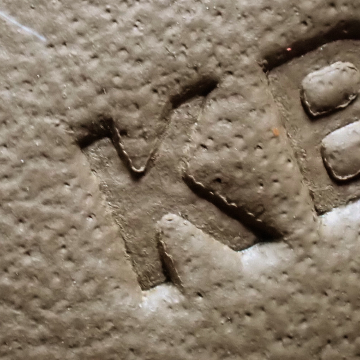 ケリーアッカドPM - 8