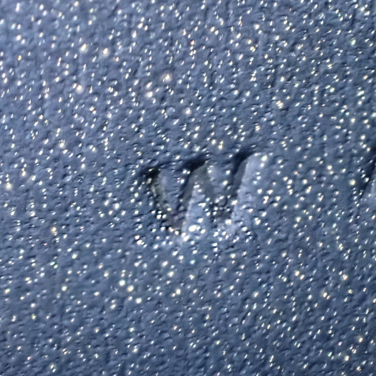 コンスタンス ロング トゥーゴー - 7