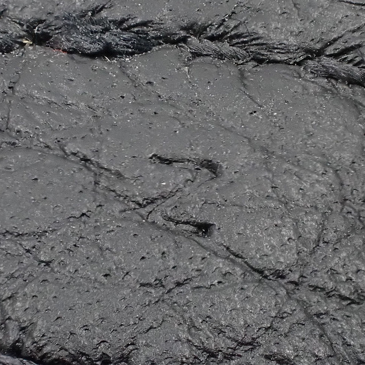 ピコタンロックMM - 7