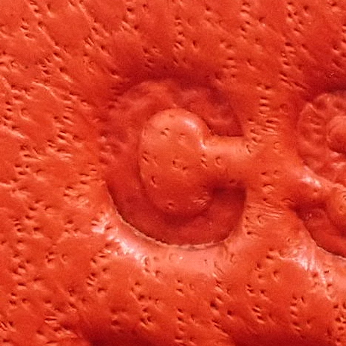 コンスタンスミニ3 オプティカル - 7