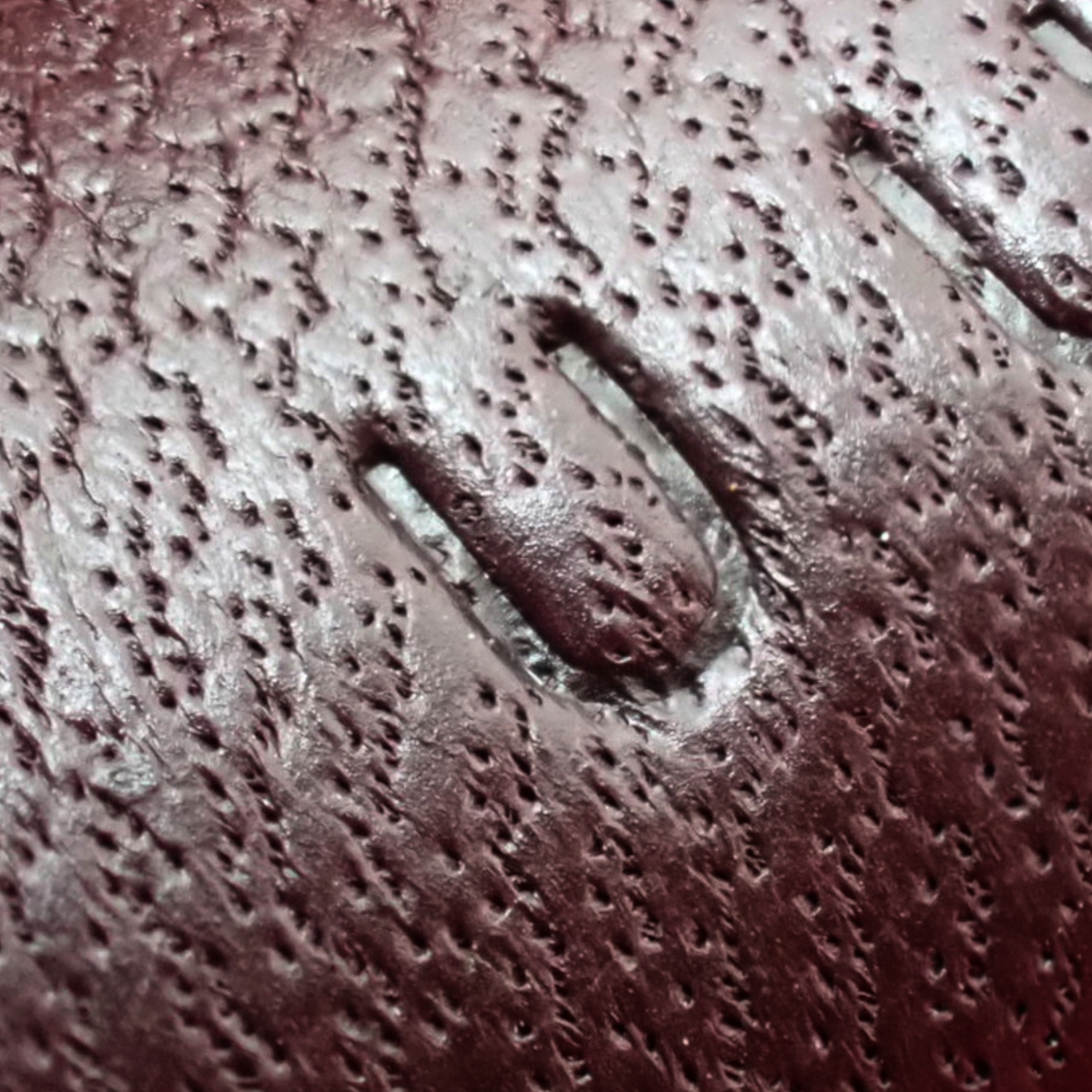 ロデオチャームPM - 4