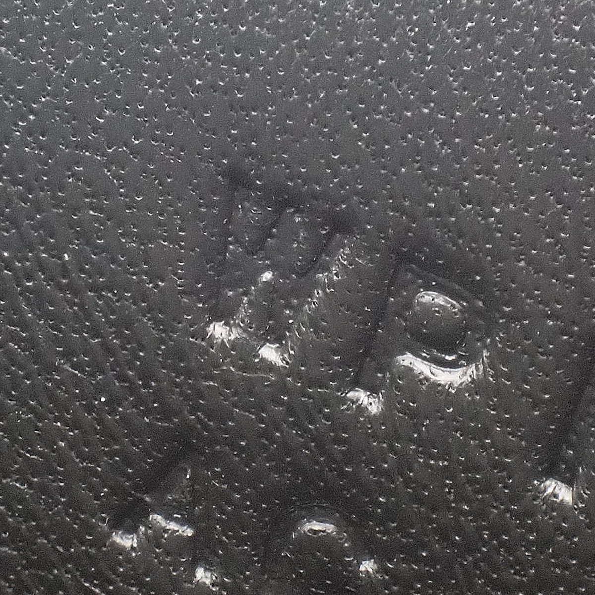 コンスタンスエラン - 7