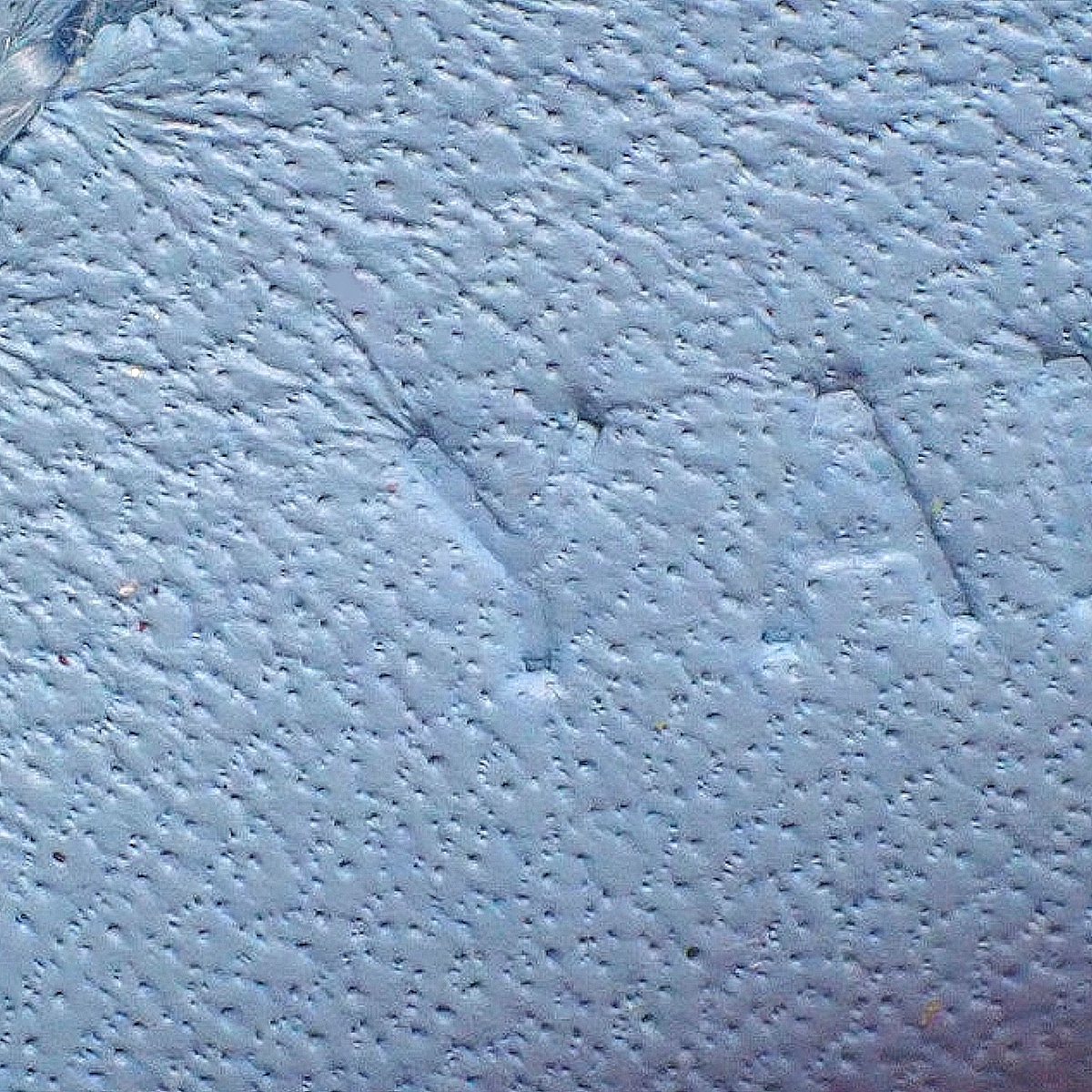 ロデオチャームPM - 4