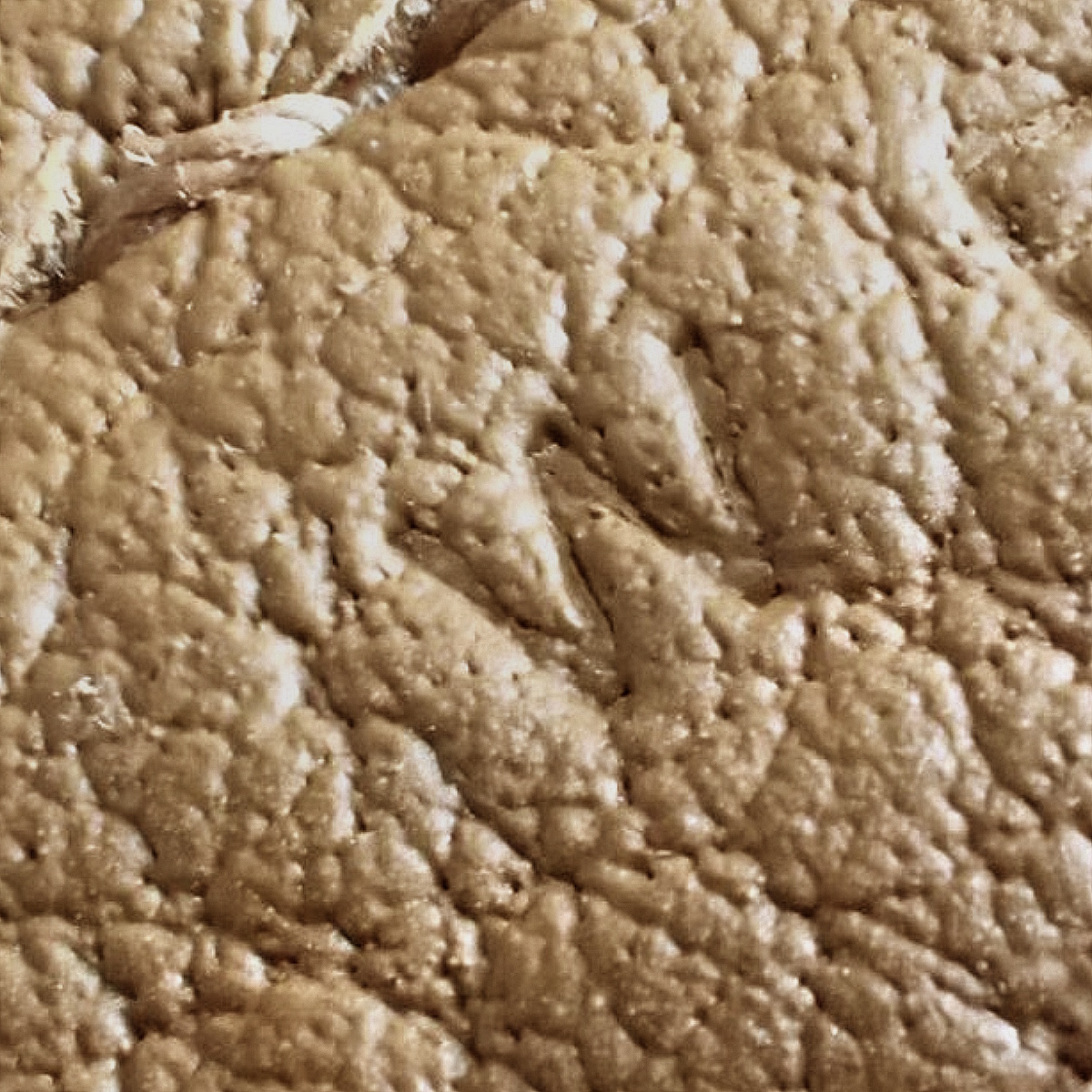 ガーデンパーティ49 ボヤージュ - 7