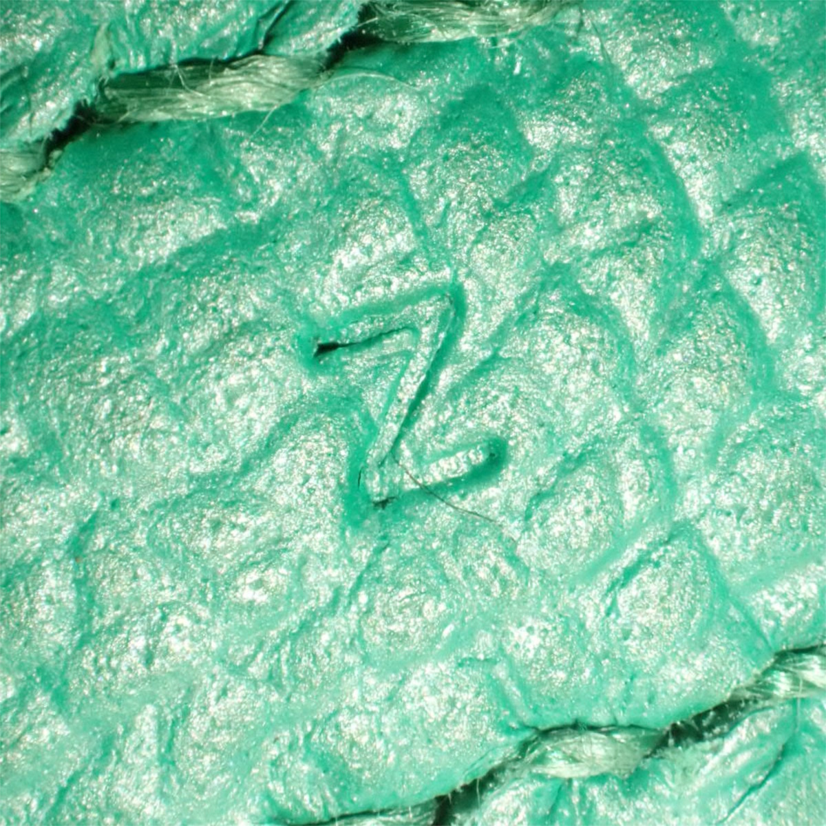 Garden Party TPM - 7