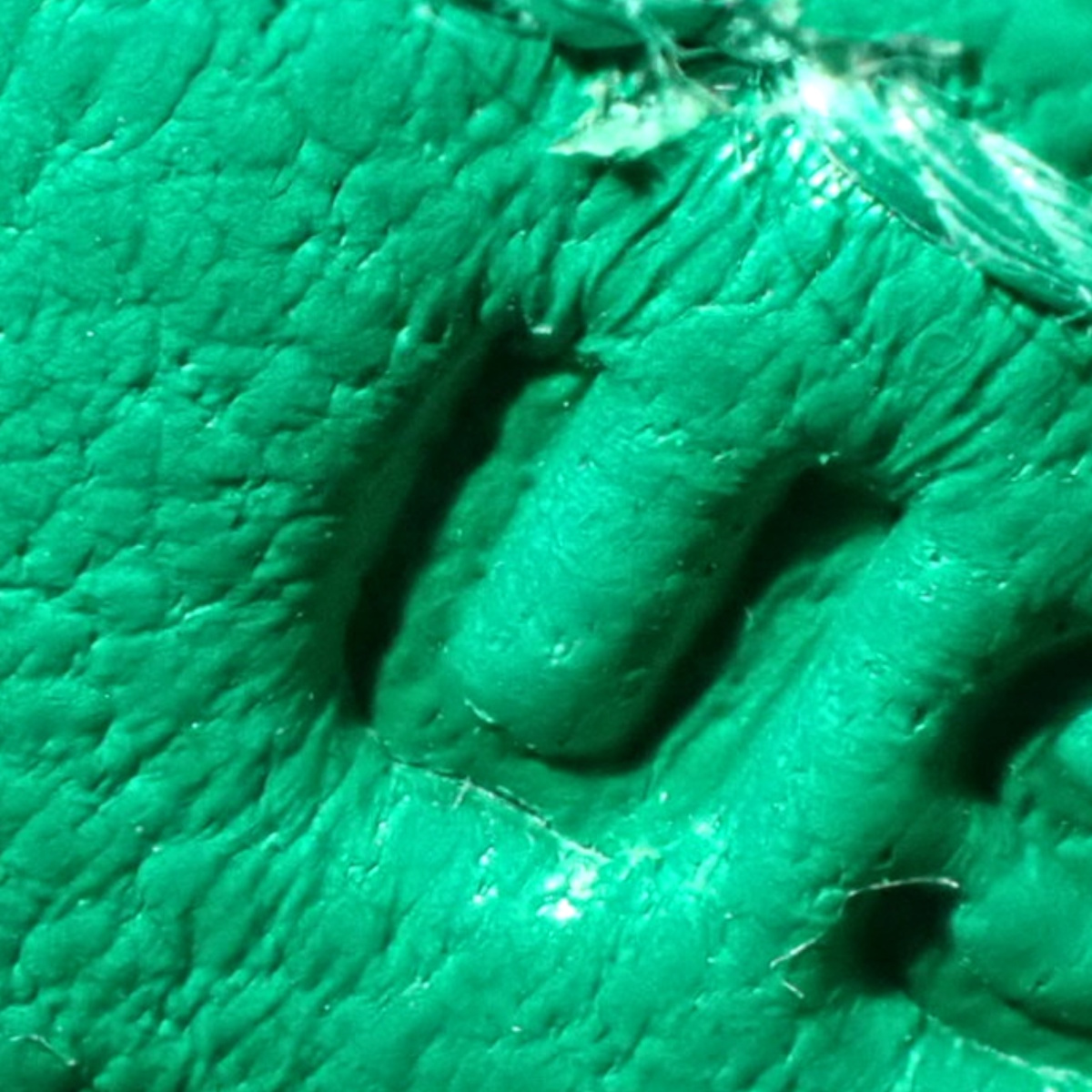 ロウリス ルリ ミニ - 7