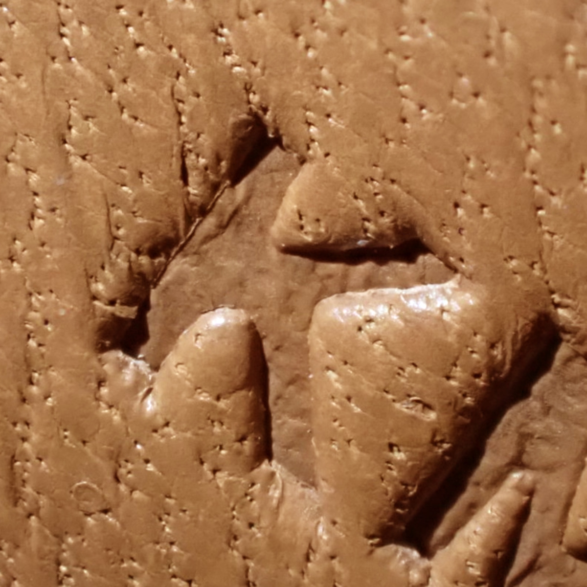 康斯坦斯·埃兰 - 7