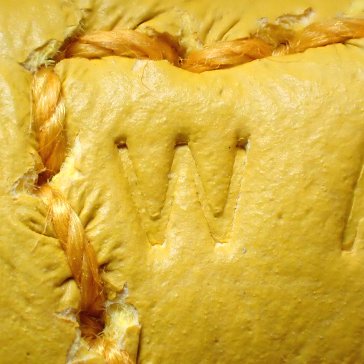 Evelyn Amerson TPM - 7