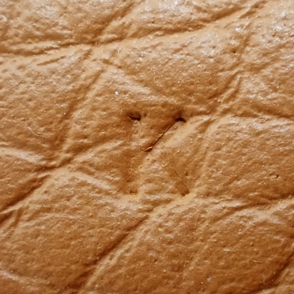 ピコタンロックPM エクラ - 7